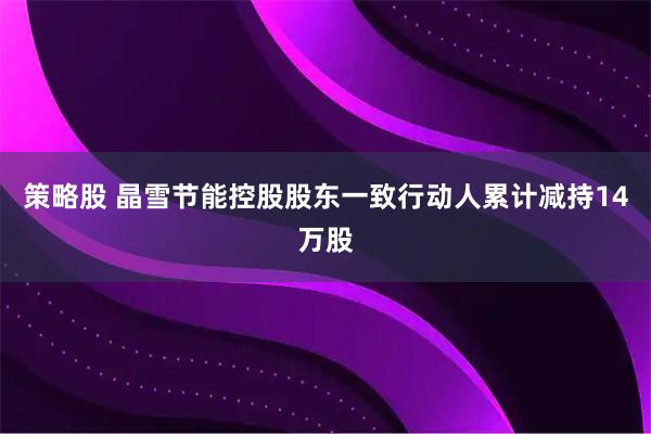 策略股 晶雪节能控股股东一致行动人累计减持14万股